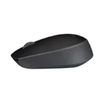M171 Mouse