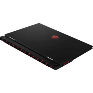 MSI Raider