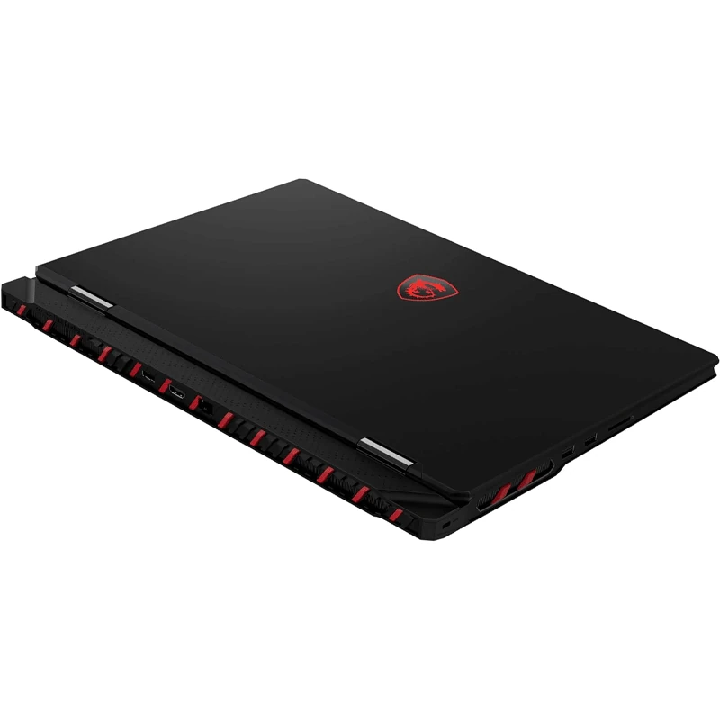 MSI Raider